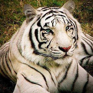 Meet your Posher, Ethan